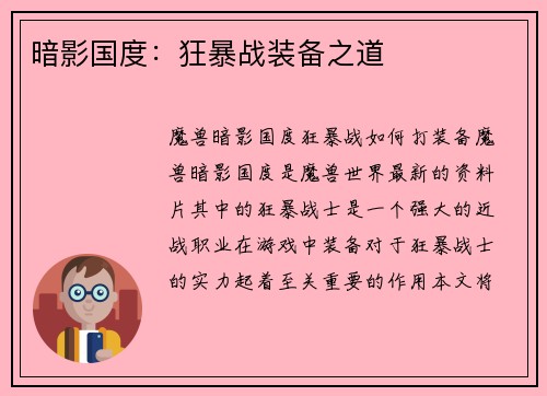 暗影国度：狂暴战装备之道